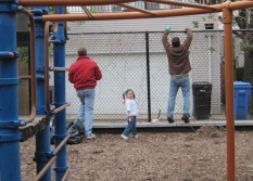 Back Fence